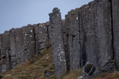 p1560867