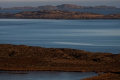 p1571385
