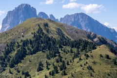 p1037229
