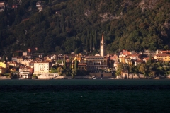 p1482229