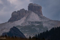 p1482786