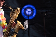 Concerts & Festivals & Artistes