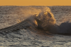 p1205693-enhanced-nr