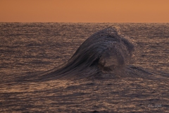 p1206770-enhanced-nr