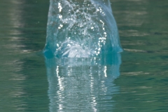 p1482611