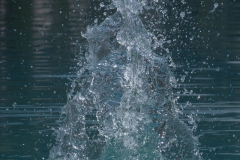 p1482633