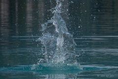 p1482634