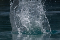p1482701