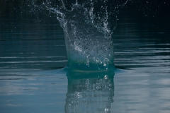p1482710