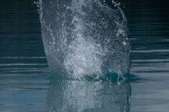 p1482711