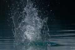 p1482712