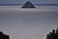 094d6e99-cf16-4e5f-8e6d-7446f01780f4_1_201_a