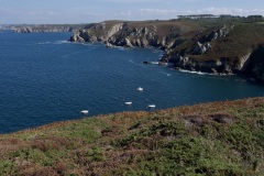 1b1d4833-1cd4-4bca-bebf-86a3e43ac727_1_201_a