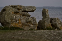 25011354-0886-4bbf-be5c-070af88b64e2_1_201_a