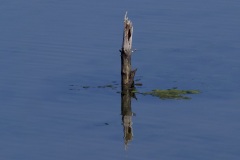 46a742df-46b8-4fa3-a92c-b642708cb018_1_201_a