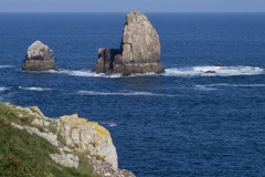 52b6a2cd-63d5-4412-bbcb-ff0df18f4c32_1_201_a