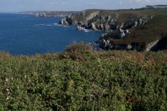 7c80b167-cb42-4679-a547-1987ed2bb7a1_1_201_a