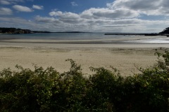 976f5b8c-eb50-4a20-b43c-8b765ec2f16c_1_201_a