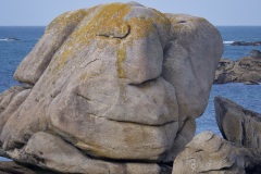 99b72a38-dfb0-43c5-b5e0-e7e235dc93de_1_201_a