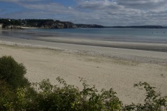 abfe5877-f6f7-4ce2-86f1-27295b0cb682_1_201_a