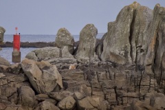 d443aa91-7232-4e15-8977-f7efaf581986_1_201_a