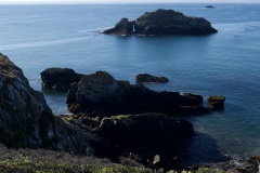 d91cb6d3-dfa4-4ed3-8262-4af7ab40ae42_1_201_a