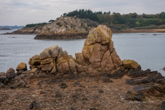 dsc03311