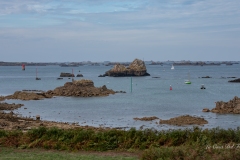 dsc03360
