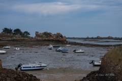 dsc03419