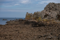 dsc03446
