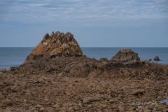 dsc03448