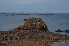 dsc03456