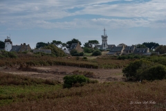 dsc03459