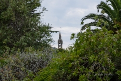 dsc03464