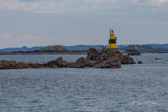 dsc03466