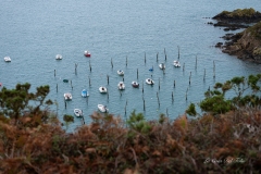 dsc03479