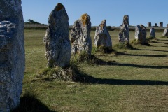 f8fc6f6e-ebef-4b9b-8602-11237ba460c7_1_201_a