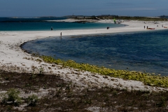 p1121686