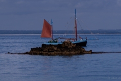 p1122167-2