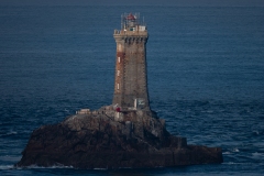 p1324161