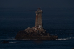 p1324239
