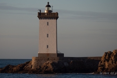 p1582317
