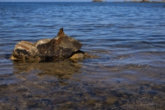 p1145936