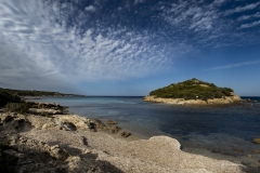 p1156065