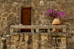 p1156236