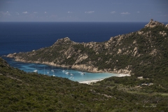 p1156571