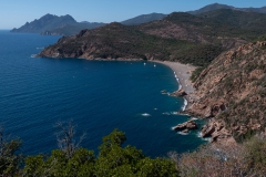 p1290387