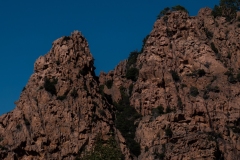 p1290388