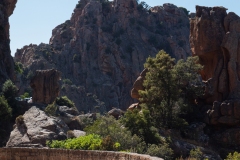 p1290390