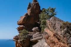 p1290392